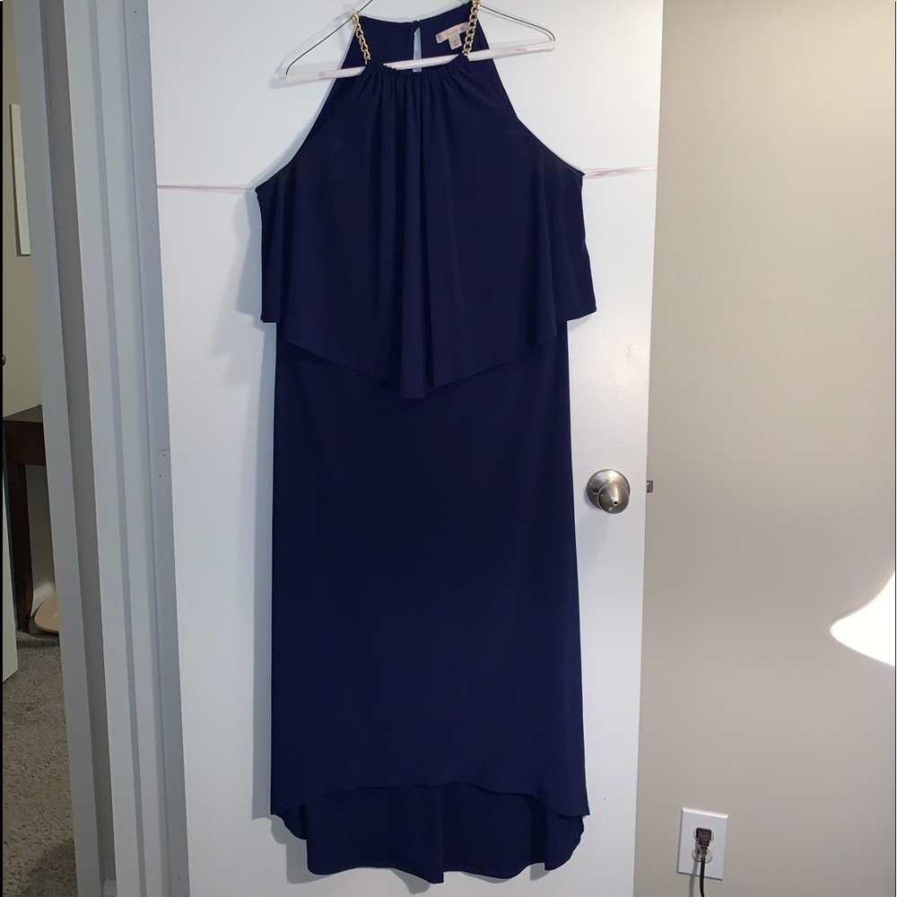 Blue Dress Barn Dress